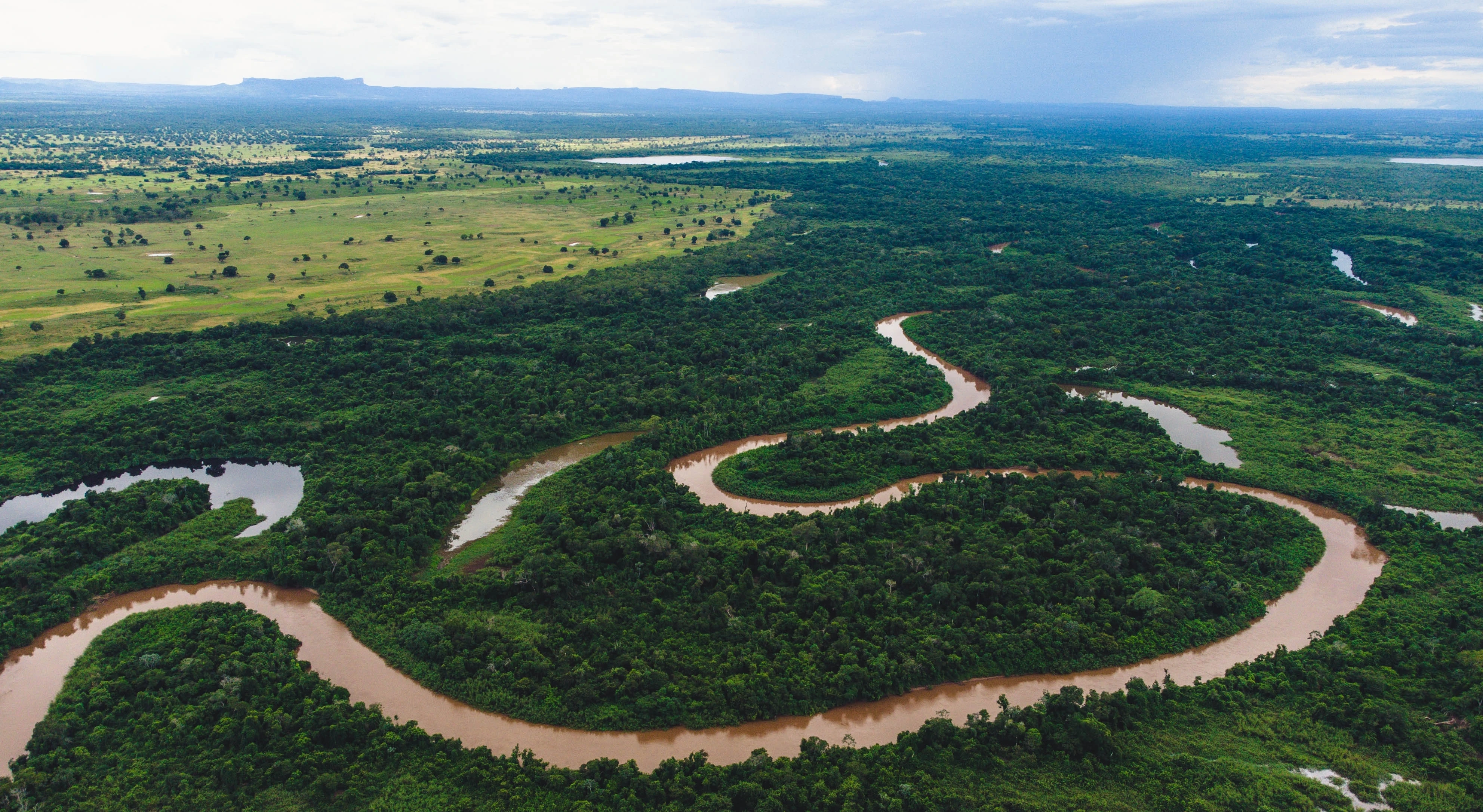 Amazonas